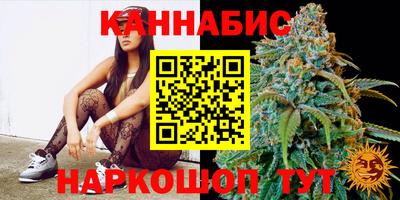 МДПВ Брянск