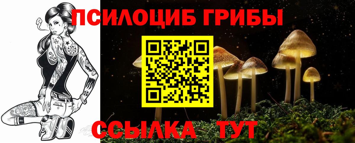 Гатчина  Галлюциногенные грибы Psilocybine cubensis  купить наркотик  Вход с VPN 